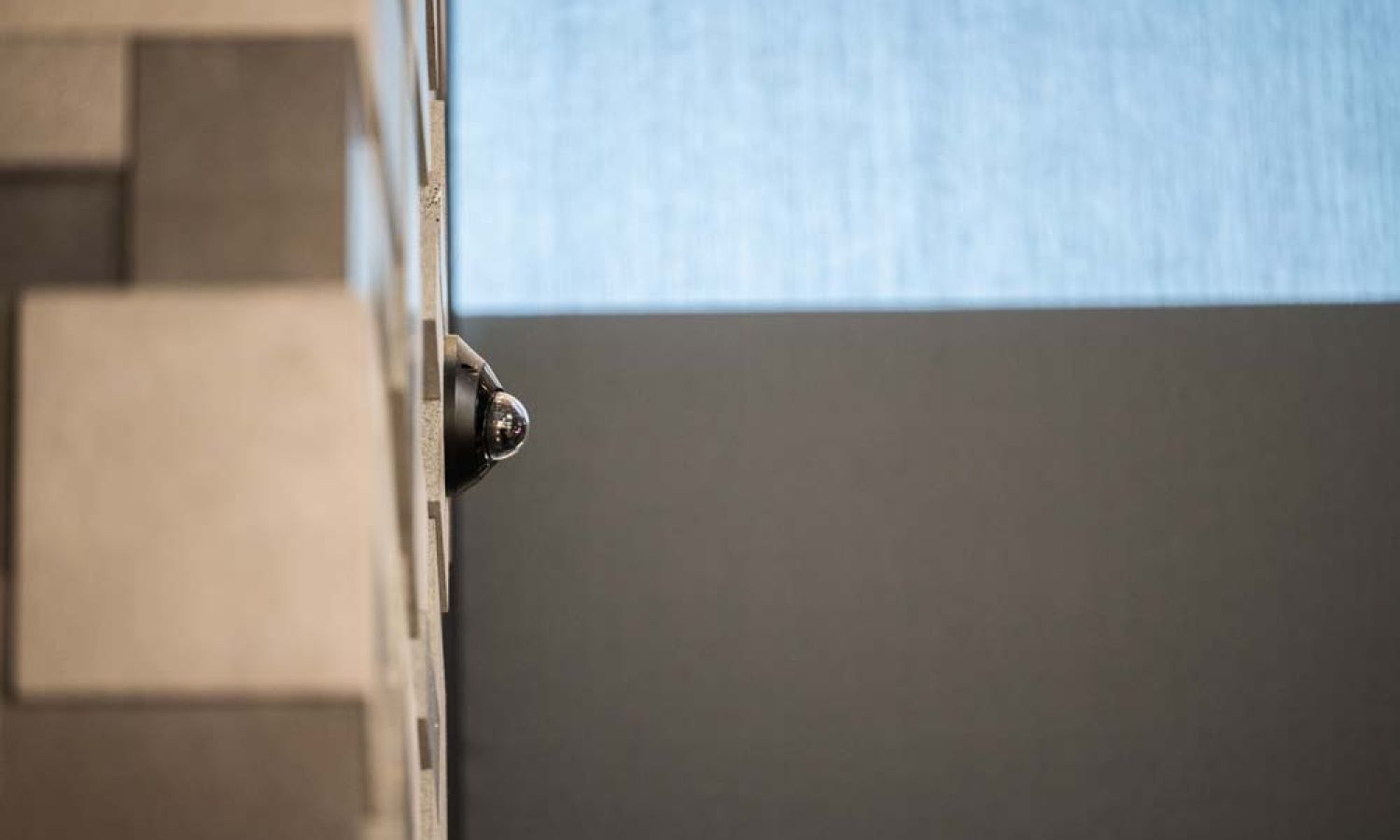 woman holding phone in her hands